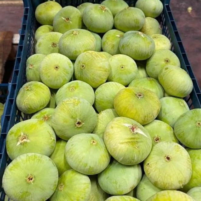 Figs 1kg £12