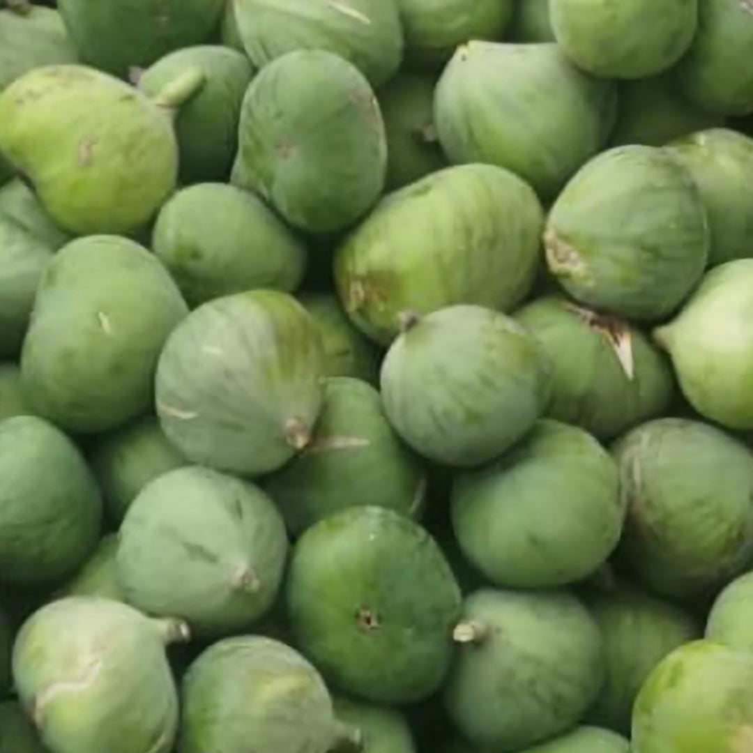 Fresh Figs (تين طازج) – 2kg from jordan
