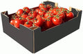vine tomato's 1kg £2.50