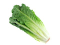 lettuce single £1