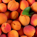 Apricote 1kg £3.50