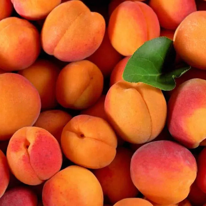 Apricote 1kg £3.50