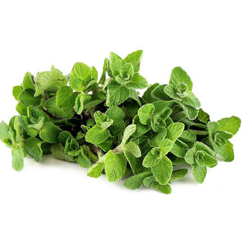 Thyme 1 bunch