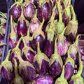 Aubergine homsi Lebanese 20 Kg Free Delivery