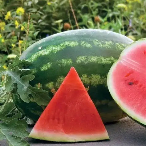 watermelon 1kg £0.90