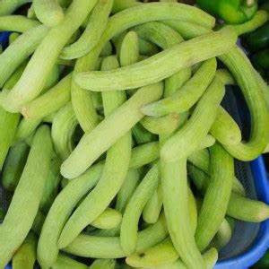 فقوس او قثاء £5