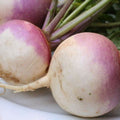 turnip 1kg £4