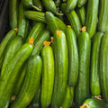 baby cucumber 1kg £4