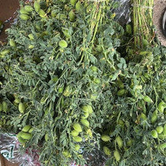 حمص أخضر ضمه £3