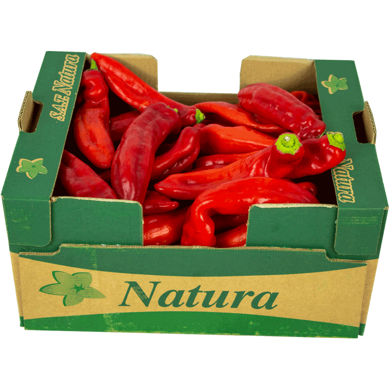 sweet red pepper 4kg £12