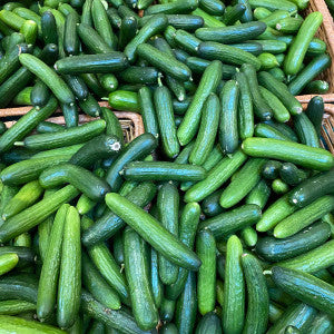 baby cucumber 1kg £2.50