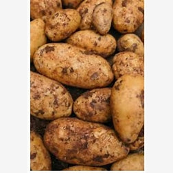 Cyprus potato's 1kg £2
